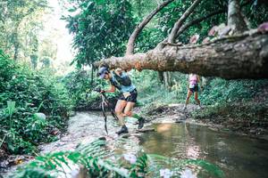 BIB: 
                            <button type="button" onclick="openModal(25437020)" class="btn btn-primary btn-sm float-right btn-popup" data-toggle="modal" data-target=".modal-high-quality">
                        <i class="fas fa-shopping-cart"></i> Add to Cart
                    </button>
                                            <button type="button" onclick="isThisMe(25437020, true)" class="btn btn-success btn-sm float-right btn-popup btn-isme hidden" data-toggle="tooltip" data-placement="bottom" title="นี่คือรูปของคุณใช่ไหม คลิกที่นี่เพื่อเอาเข้าอัลบั้ม">
                        <i class="fas fa-plus"></i> Add to album
                    </button>
                    <button type="button" onclick="isThisMe(25437020, false)" class="btn btn-warning btn-sm float-right btn-popup btn-isnotme hidden">
                        <i class="fas fa-ban"></i> Remove from album
                    </button>